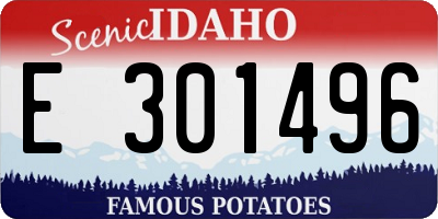 ID license plate E301496