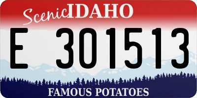 ID license plate E301513