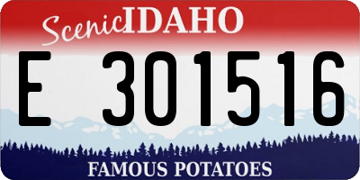ID license plate E301516