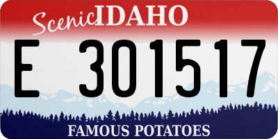 ID license plate E301517