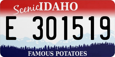 ID license plate E301519