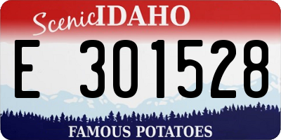 ID license plate E301528