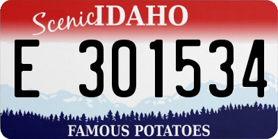 ID license plate E301534