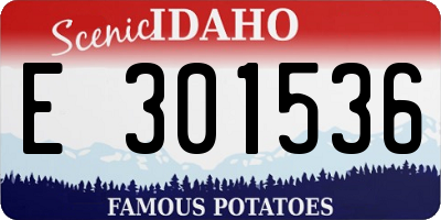 ID license plate E301536