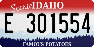 ID license plate E301554