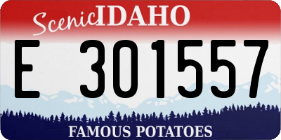 ID license plate E301557