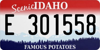 ID license plate E301558