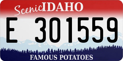 ID license plate E301559