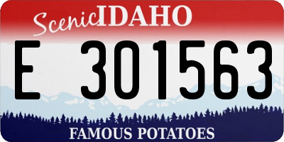 ID license plate E301563