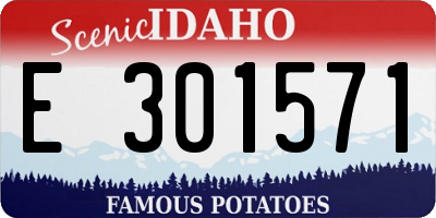 ID license plate E301571