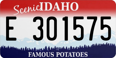 ID license plate E301575