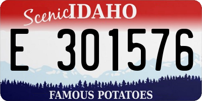 ID license plate E301576