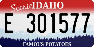 ID license plate E301577
