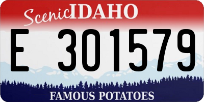 ID license plate E301579