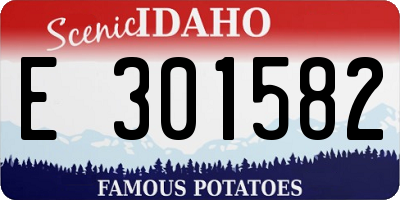 ID license plate E301582