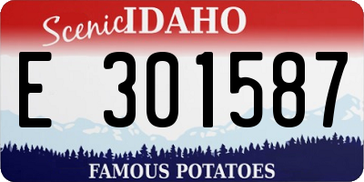ID license plate E301587