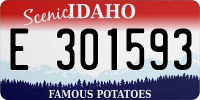 ID license plate E301593