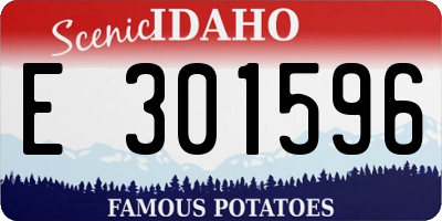 ID license plate E301596