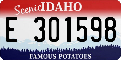 ID license plate E301598