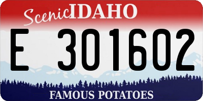 ID license plate E301602