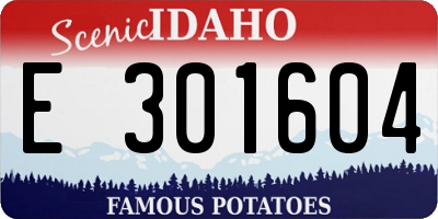 ID license plate E301604