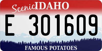 ID license plate E301609