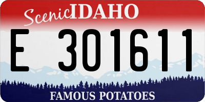 ID license plate E301611