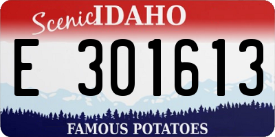 ID license plate E301613