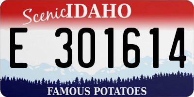 ID license plate E301614
