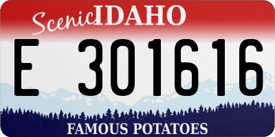 ID license plate E301616