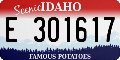 ID license plate E301617