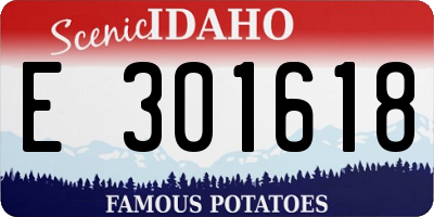 ID license plate E301618