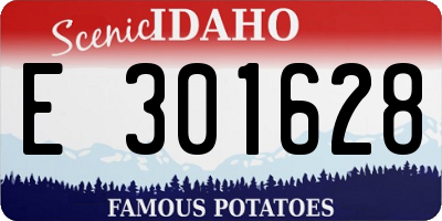 ID license plate E301628