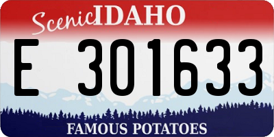 ID license plate E301633