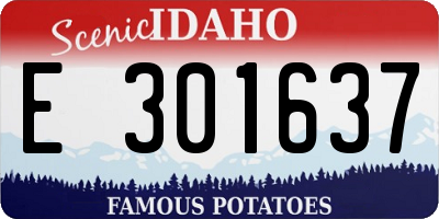 ID license plate E301637