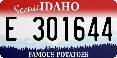 ID license plate E301644