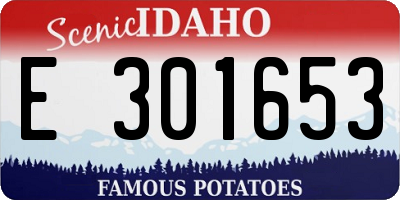 ID license plate E301653
