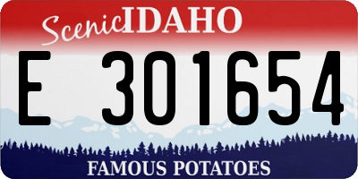 ID license plate E301654