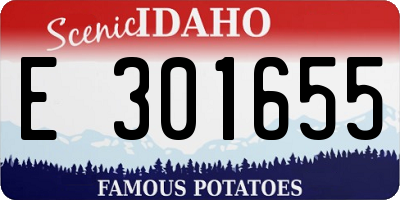ID license plate E301655
