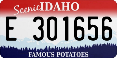 ID license plate E301656