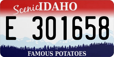 ID license plate E301658