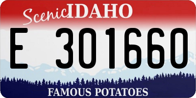 ID license plate E301660