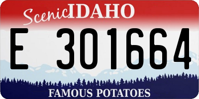 ID license plate E301664