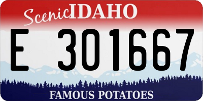 ID license plate E301667