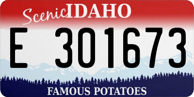 ID license plate E301673