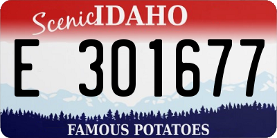 ID license plate E301677