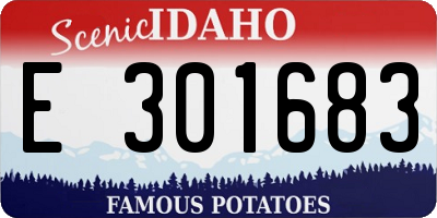 ID license plate E301683