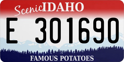 ID license plate E301690
