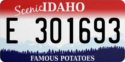 ID license plate E301693