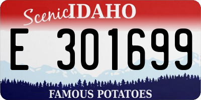 ID license plate E301699